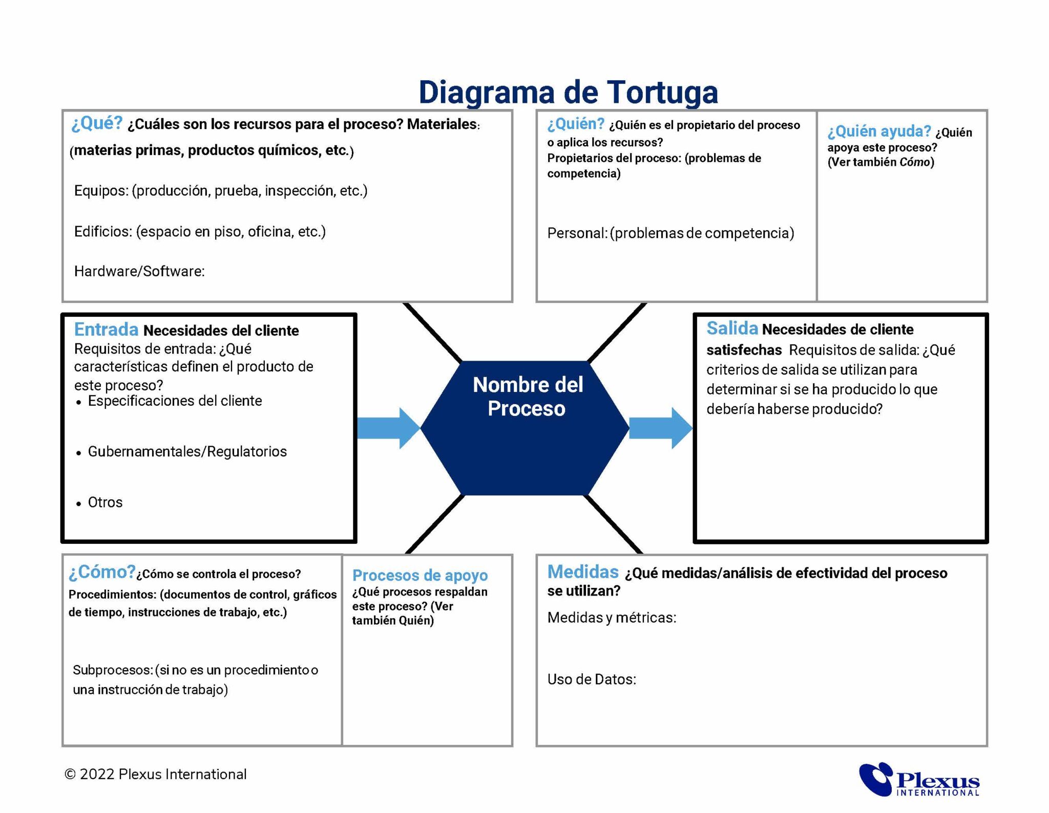 Diagrama De Tortuga Plantilla Plexus International